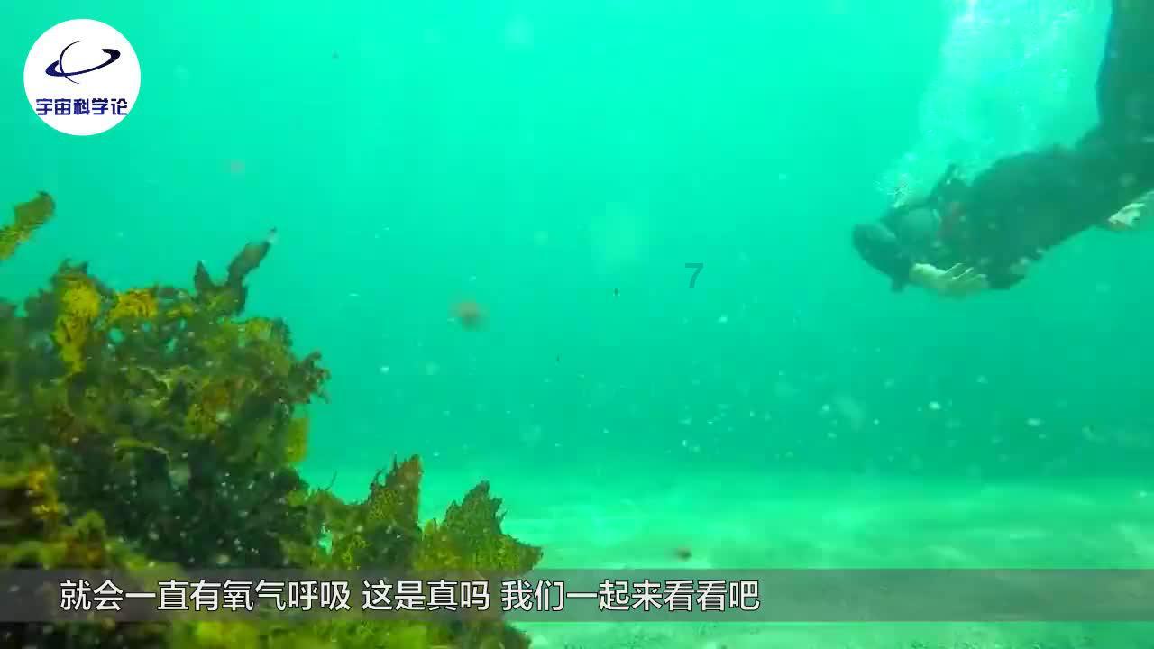 易币付游戏画面